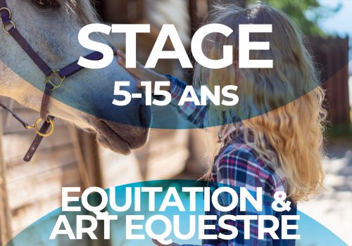 aquadream-temploux.be_inscription_stage-equitation_5-15_